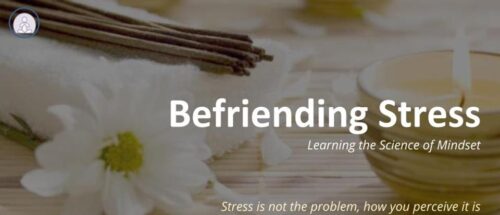 A training program on Befriending Stress