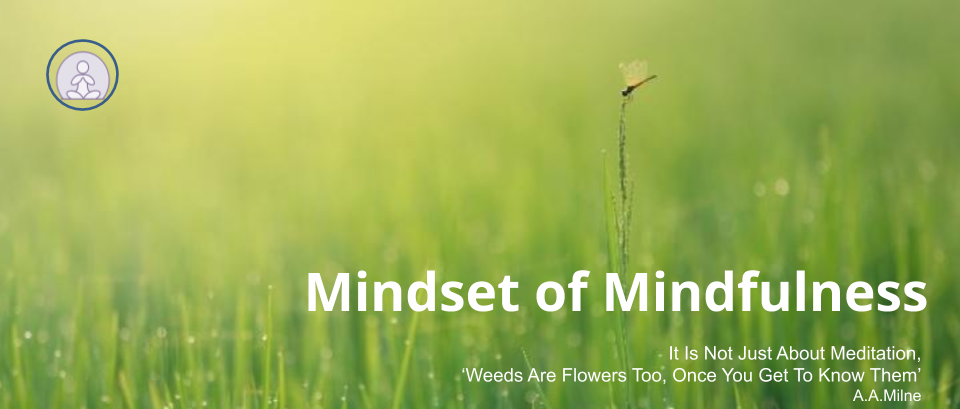 Mindset of Mindfulness