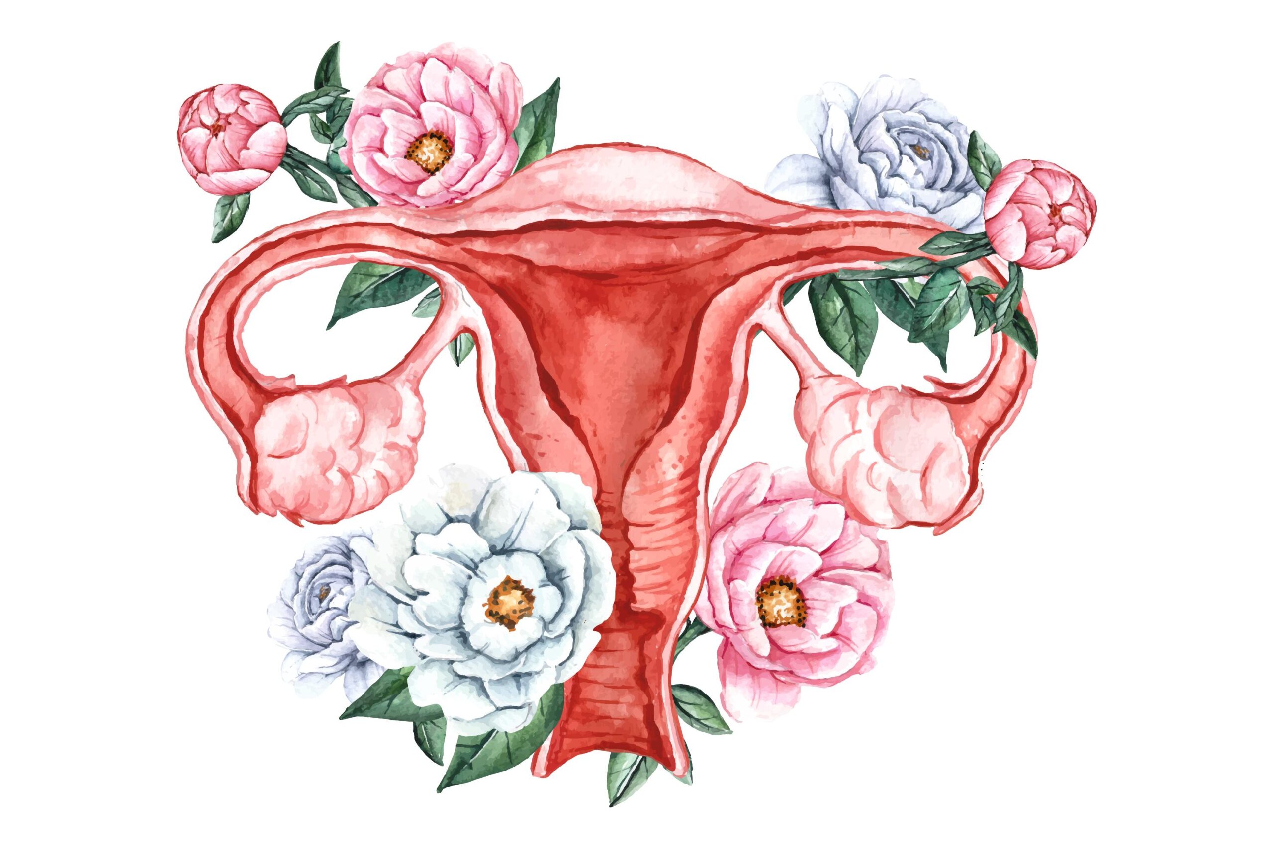Enabling World Training Program on Menstrual Health